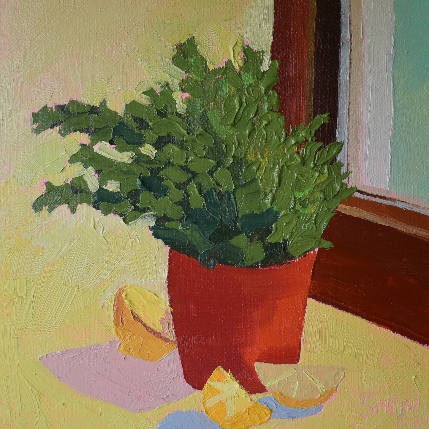 Potted Plant Study 12x 12 Inch Original Wall Art