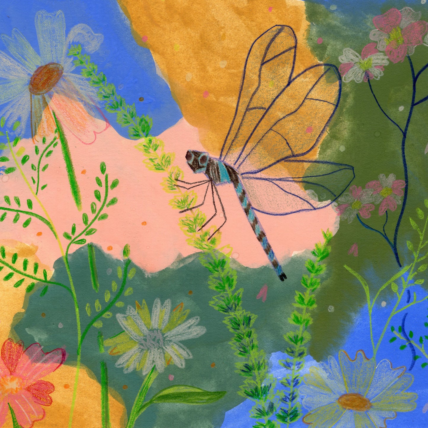 Dragonfly Wildflower Field