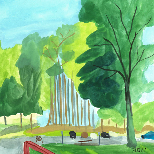 Arkansas Park Wall Art Print