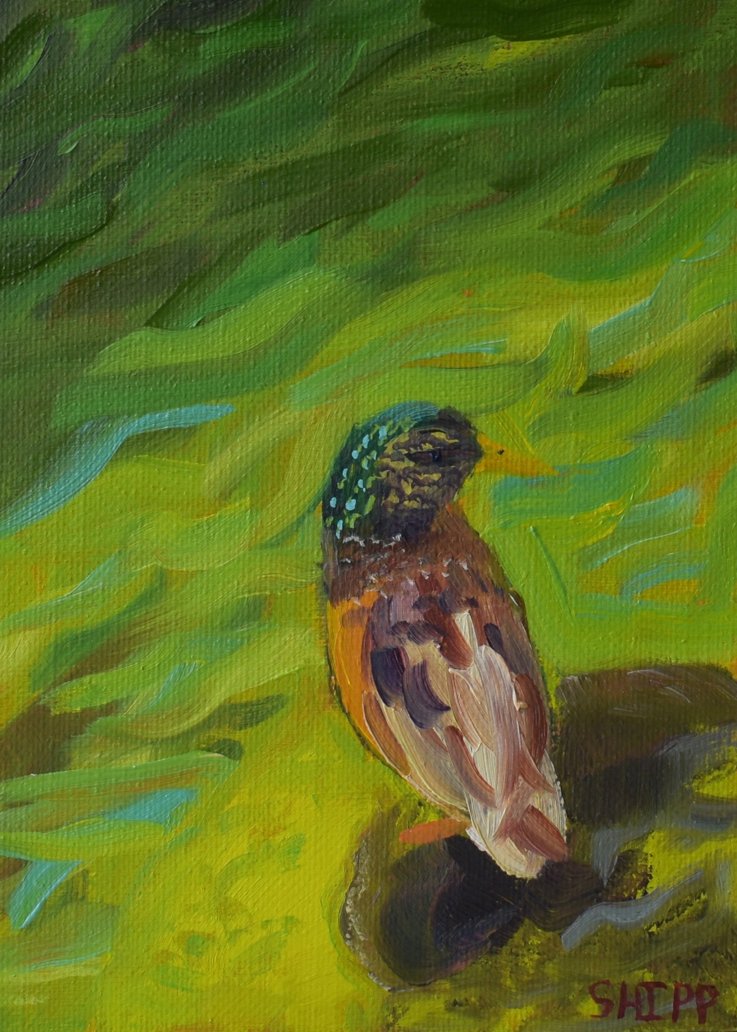 Dream Water Wall Art Print