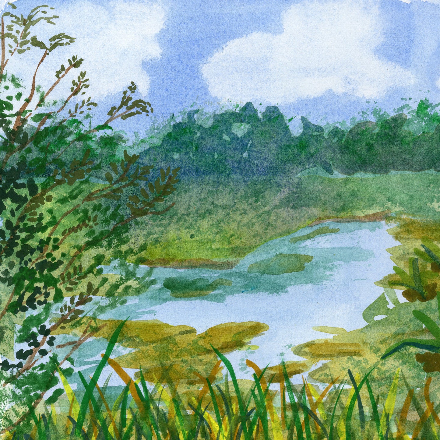 Circle B Bar Lake View