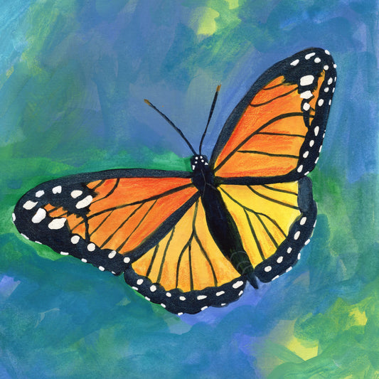 Circle B Bar Preserve Monarch Butterfly