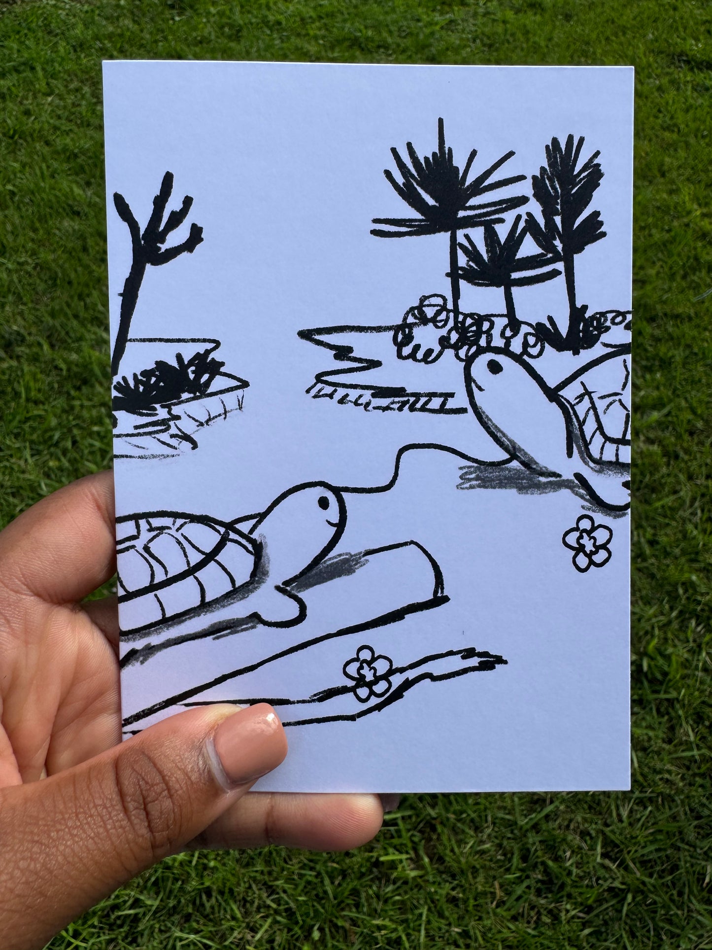 Turtle Greeting Card