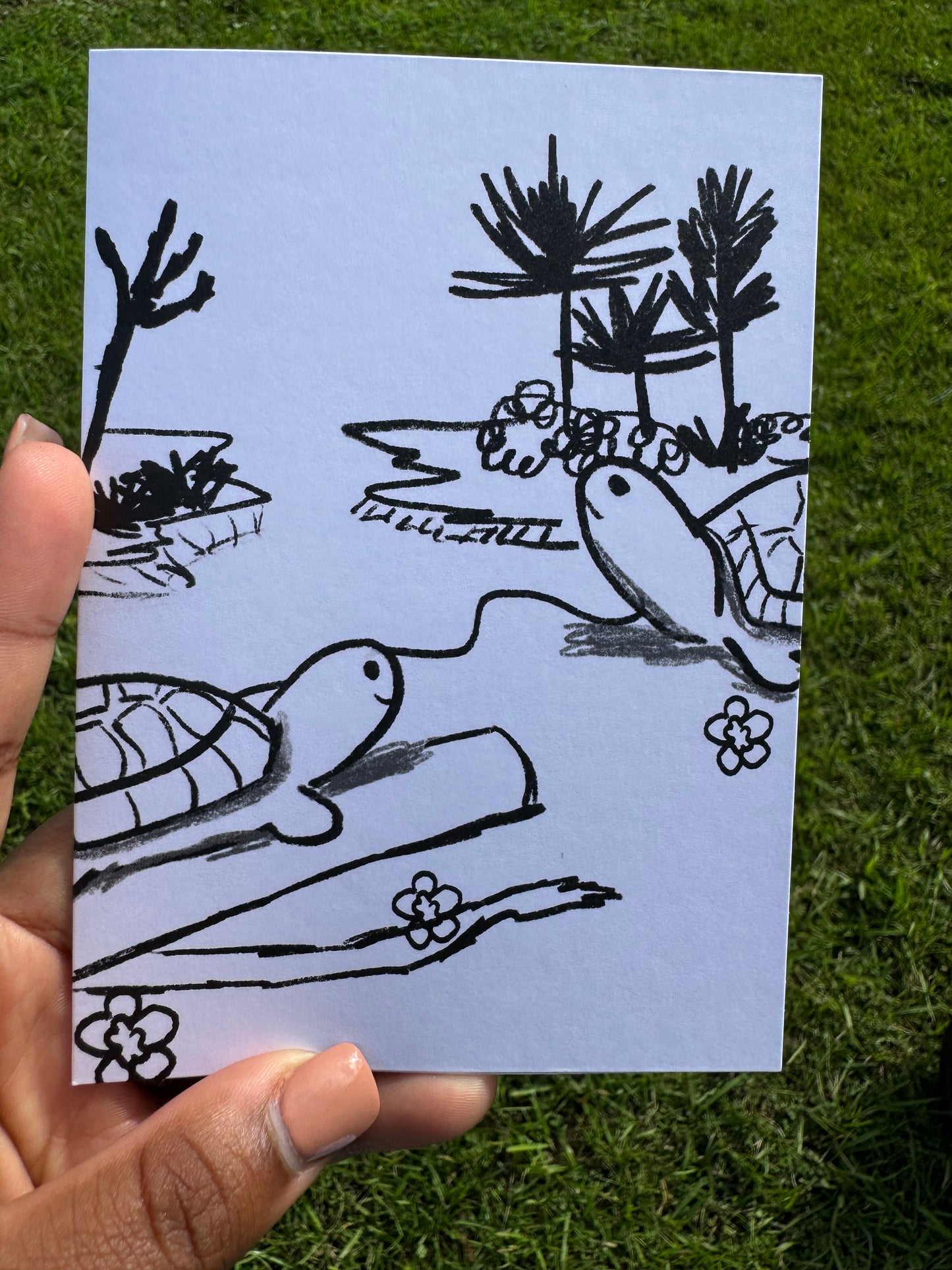 Turtle Greeting Card