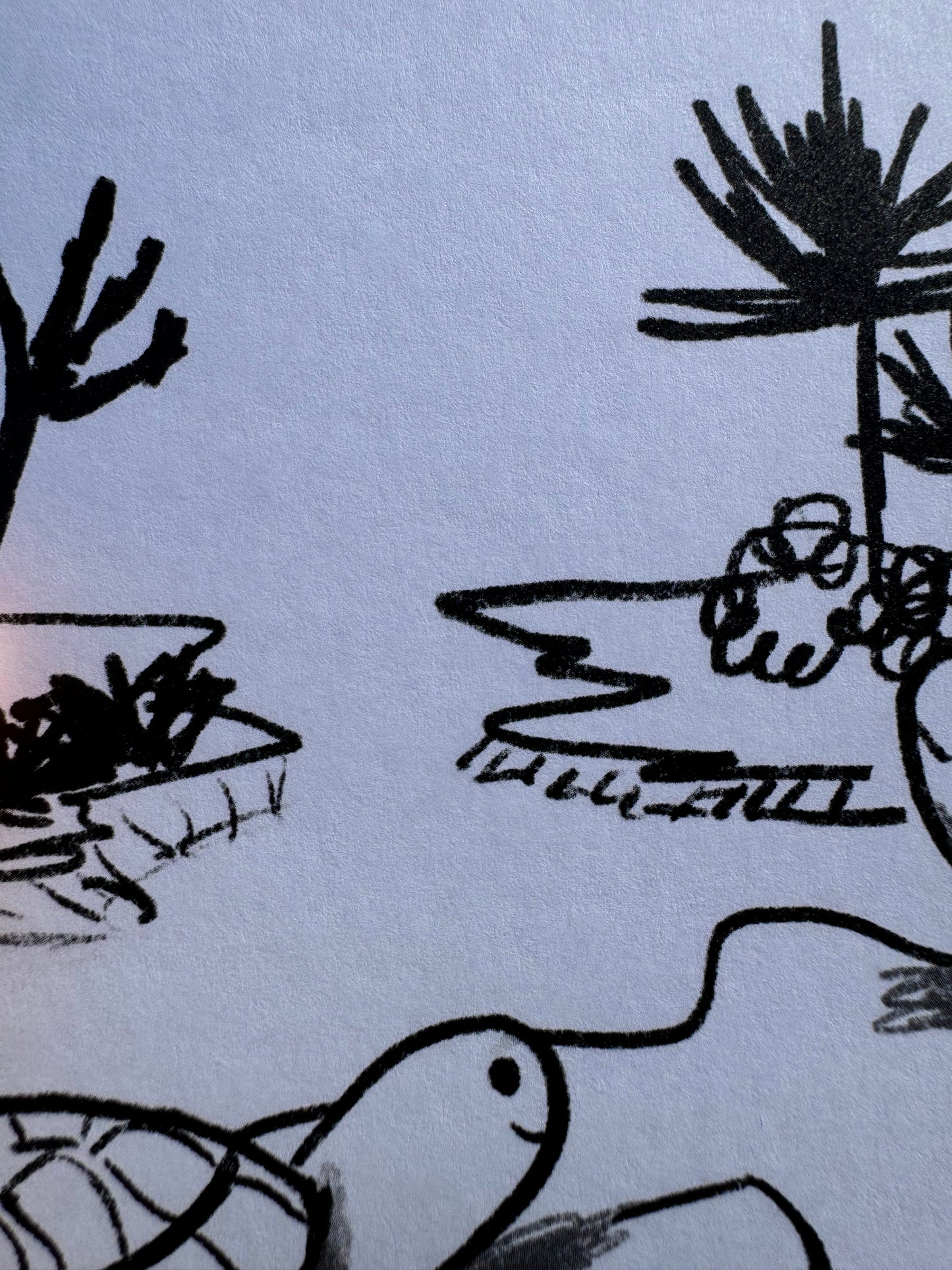 Turtle Greeting Card