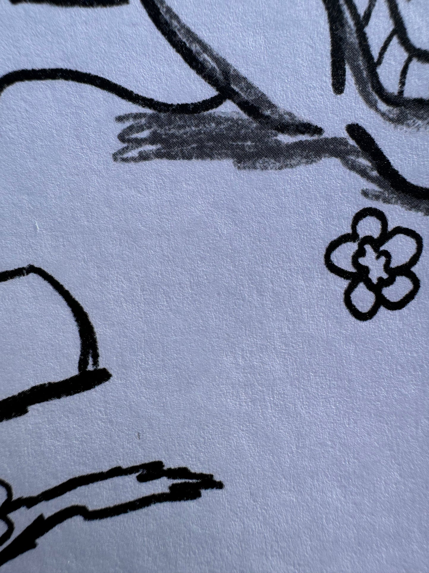 Turtle Greeting Card