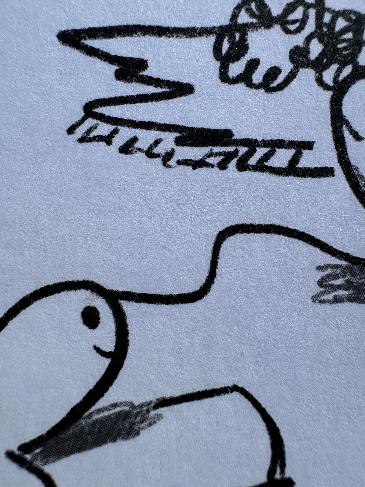 Turtle Greeting Card