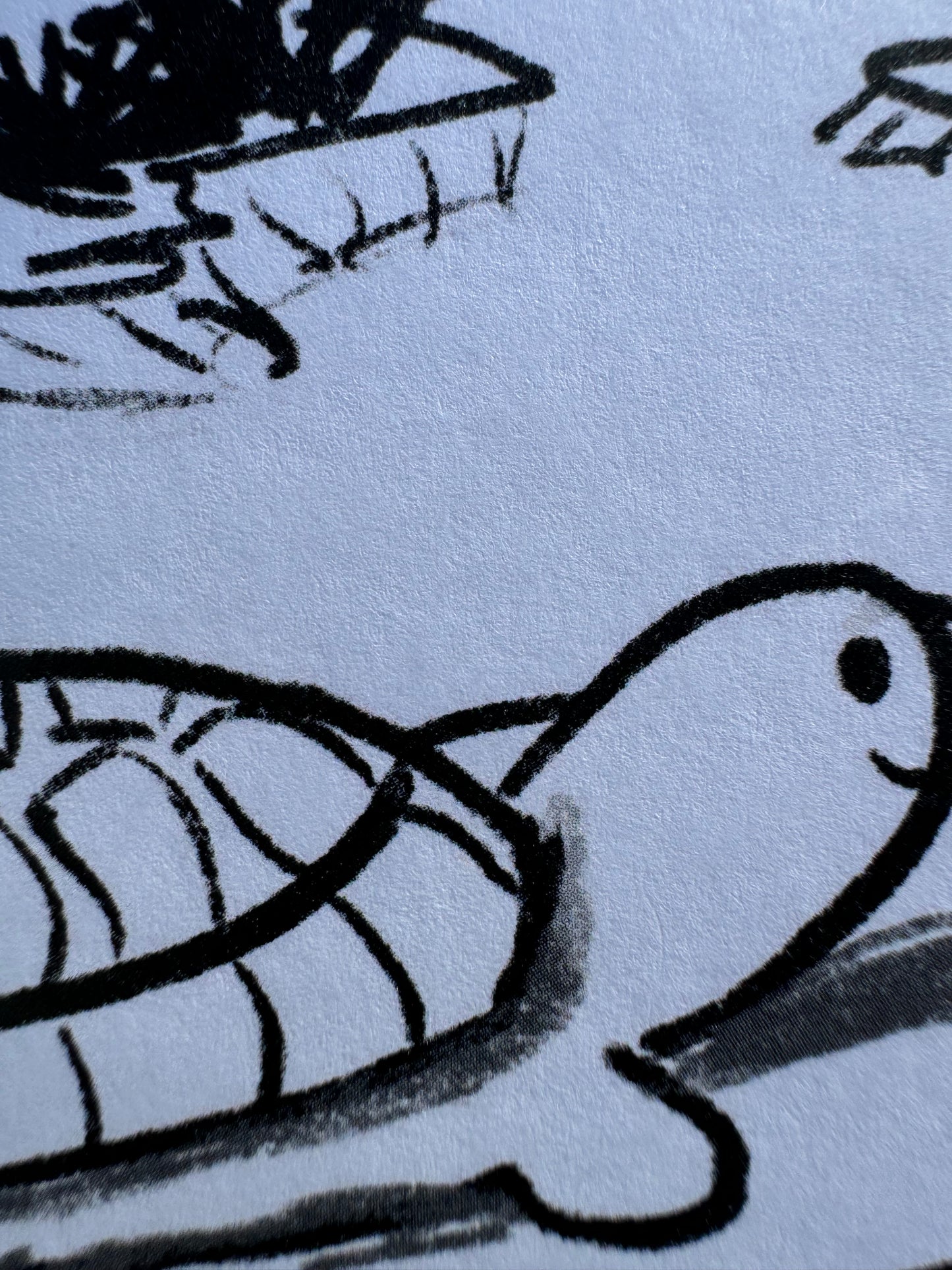 Turtle Greeting Card