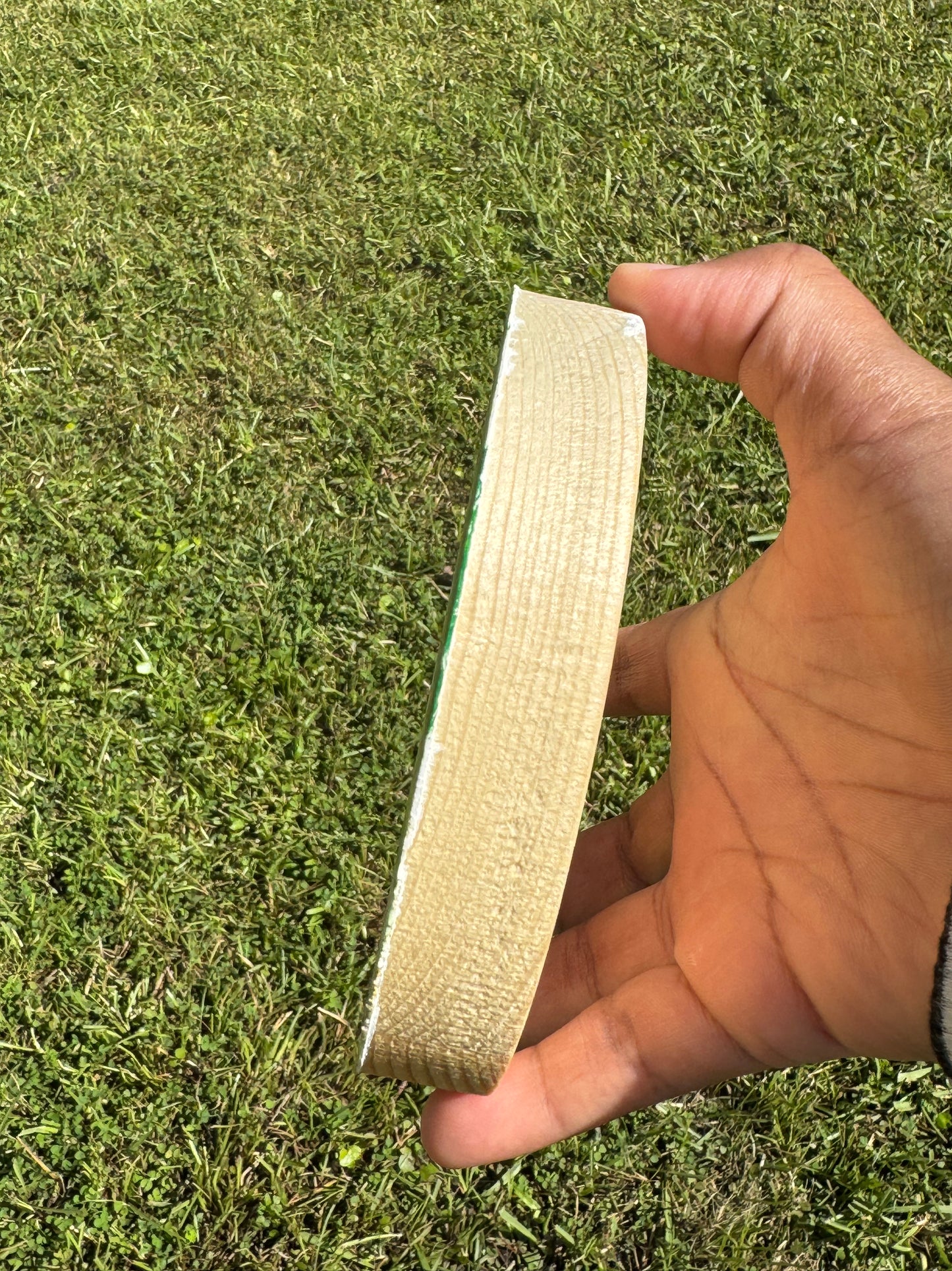 Chubby Bird 5x5 Circle Wall Art