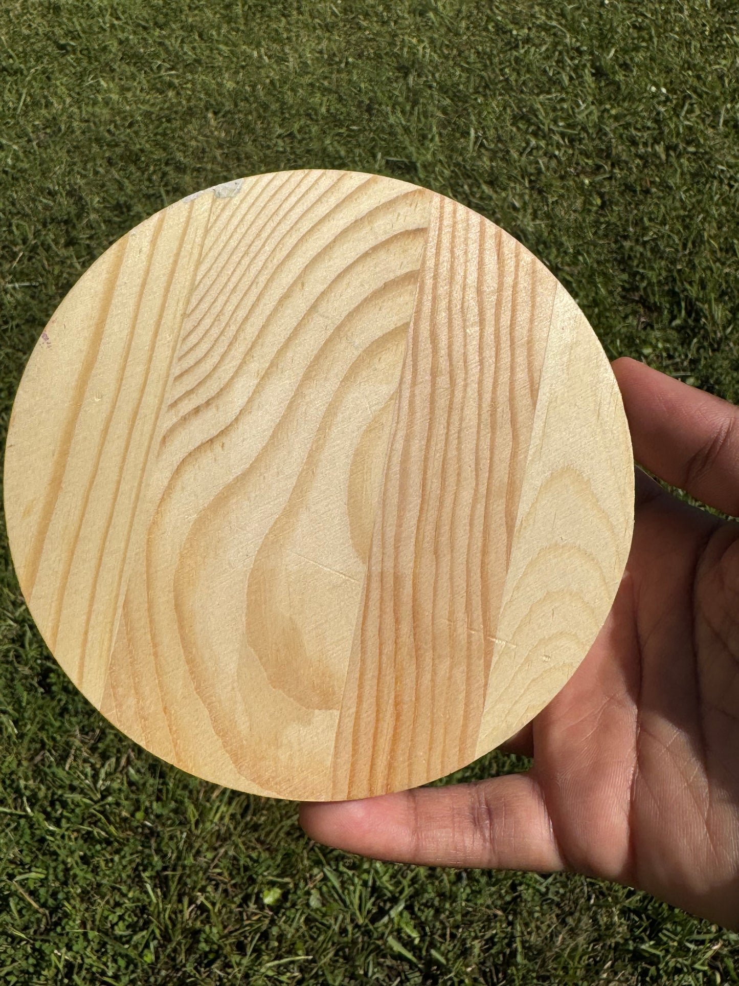 Chubby Bird 5x5 Circle Wall Art